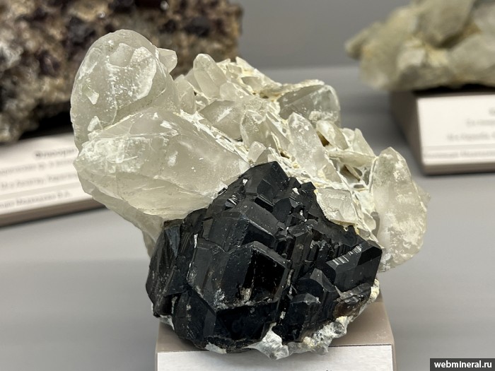 ���������� �������� ��������, �����. ����-��� (W-Mo) �������������.