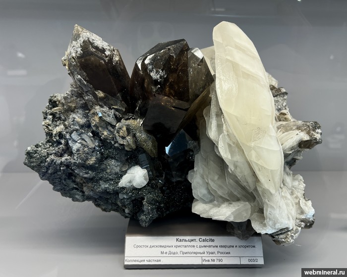 ���������� �������� �����, �������, ������. ���� �������������.