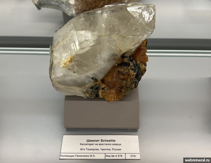 ���������� �������� �����, ������, ����������. ������������� (W-Sn) �������������.