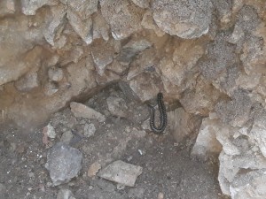 ���� �������� ��� 