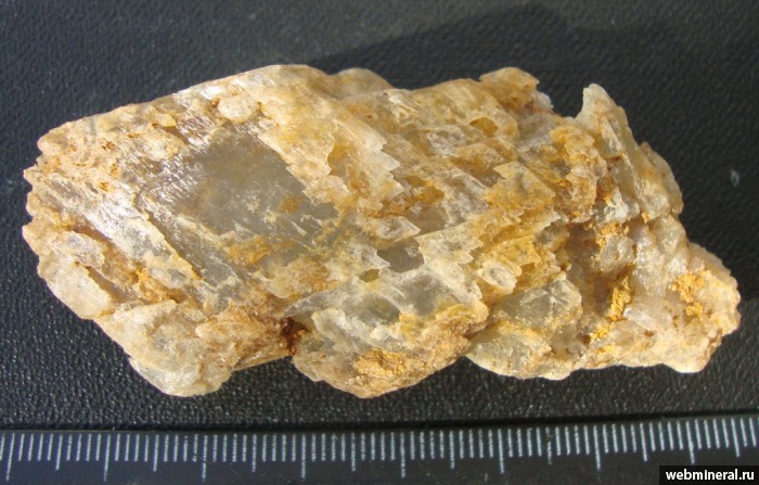 Фотография минерала Гипс. Хамелеон (Топрах-Кая) мыс.