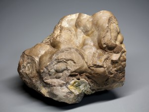 ���������. ��������� ������. �������� � �������������. webmineral.ru