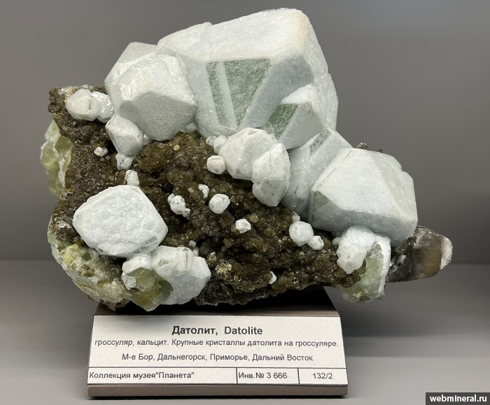 ���������� �������� �������, ���������. ��� ������.