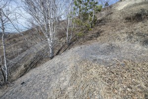 ����������� ������������� (�����)