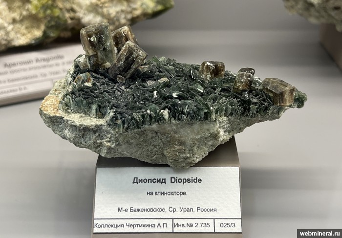 ���������� �������� �������, ���������. ����������� �������������.