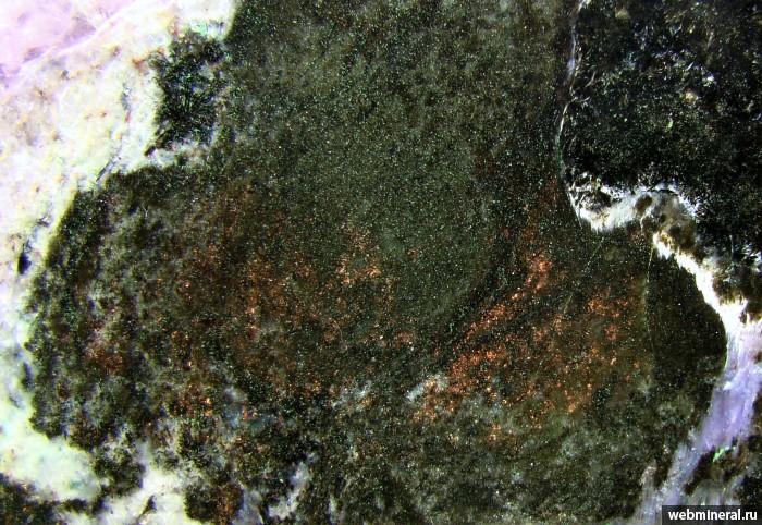 Фотография минерала Медь, Эгирин. Мурунский массив (Мурунский щелочной комплекс).