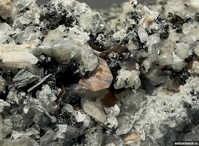 ���������� �������� ������, �������, �����. ���� �������������.