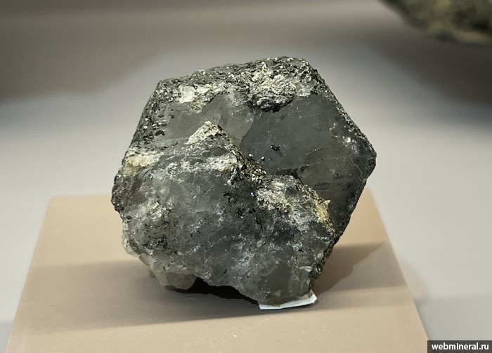 ���������� �������� ����������. ���� �������������.