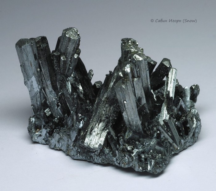 ���������� �������� ���������. Wuning, Jiangxi, China (�����).