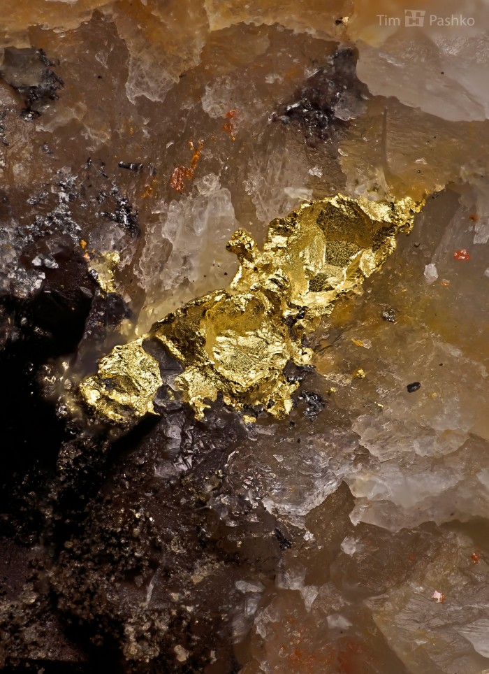 Фотография минерала Золото, Кальцит. Воронцовское (Au) месторождение.