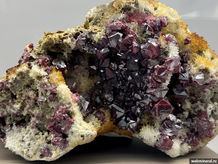 ���������� �������� ��������, �����. ������ (Hg) �������������.