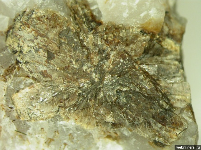 Фотография минерала Манганонордит-(Ce), Уссингит, Рабдофан-(Ce). Пегматит № 60.