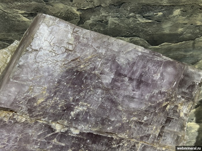 ���������� �������� �������. ���� �������������.