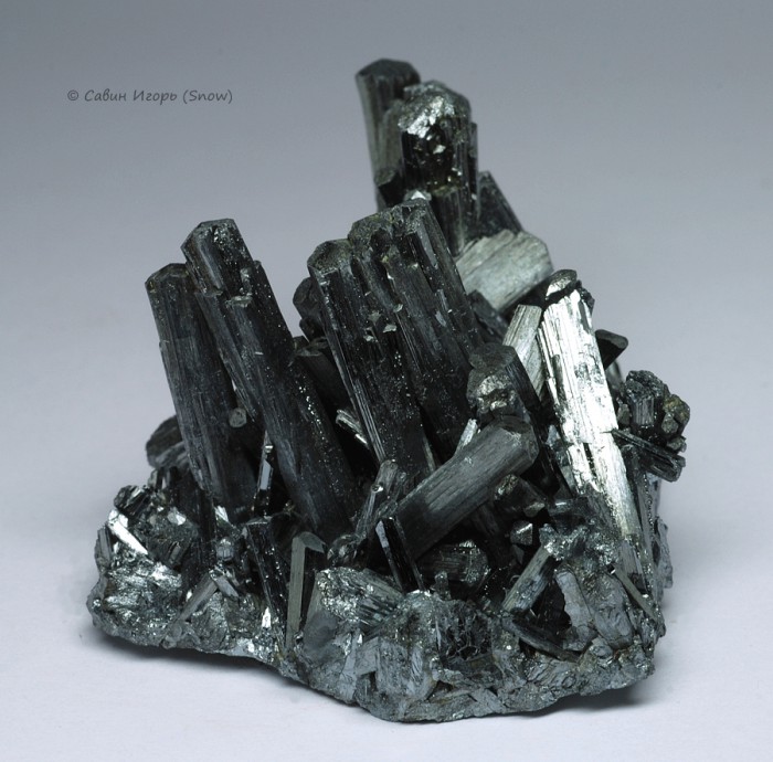 ���������� �������� ���������. Wuning, Jiangxi, China (�����).