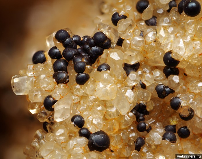 ���������� �������� ø���, �������. ���������� ������ �������������.