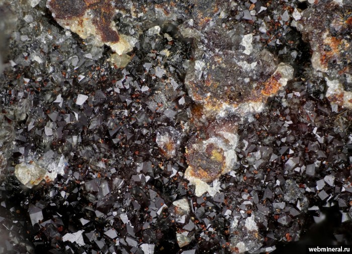 ���������� �������� ��������, ��������������, ��������������. ����������� (Au-As) �������������.