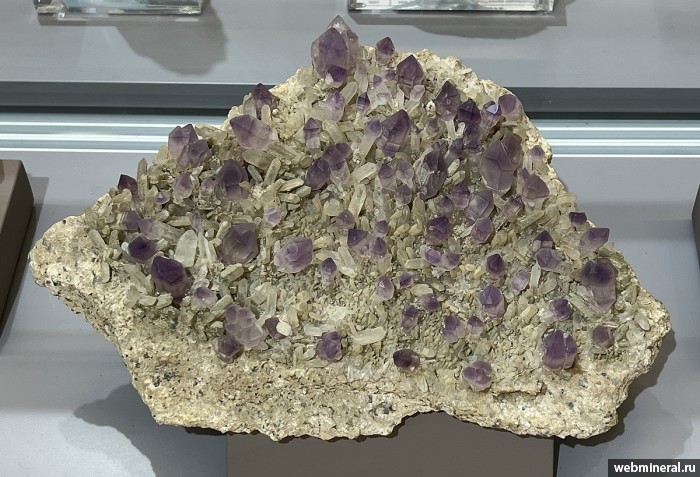 ���������� �������� ����� ����. (�������). ������ �������������.