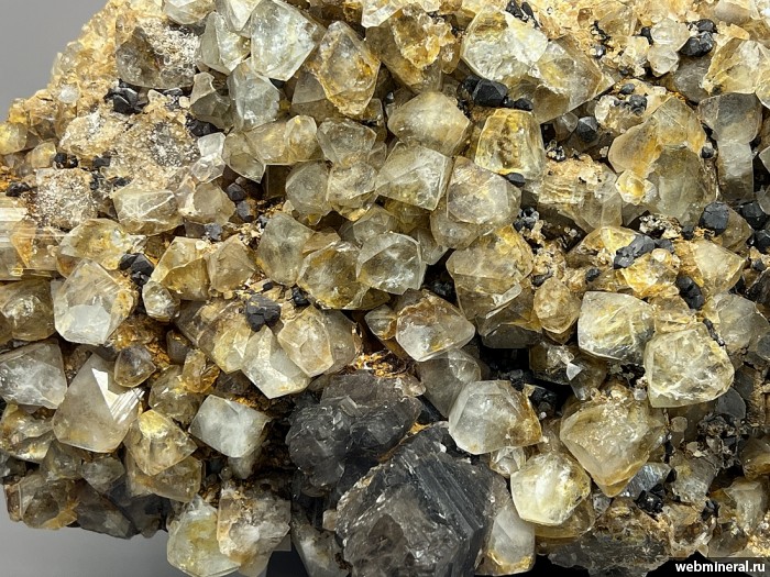 ���������� �������� �����, ����������, �����. ������� (W-Sn) �������������.