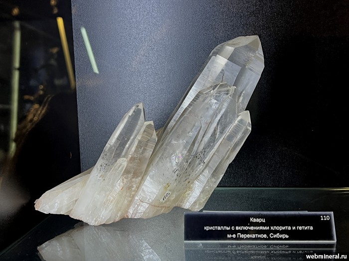 ���������� �������� �����. ���������� �������������.