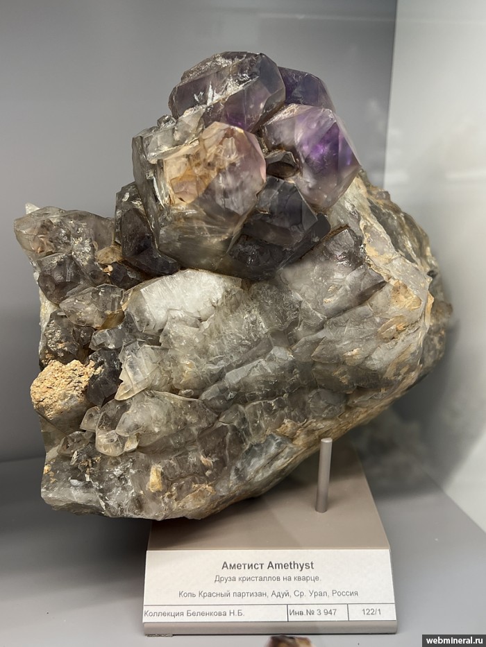 ���������� �������� ����� ����. (�������). ���� ������� ��������.