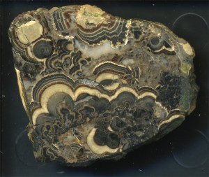 ���������� (����. ������������ �����), �����, ���������, �����. ������������� (Sn) �������������. �������� � �������������. webmineral.ru