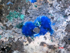 �����������, ���������, ����������, �������. ������������� (Cu) �������������. �������� � �������������. webmineral.ru