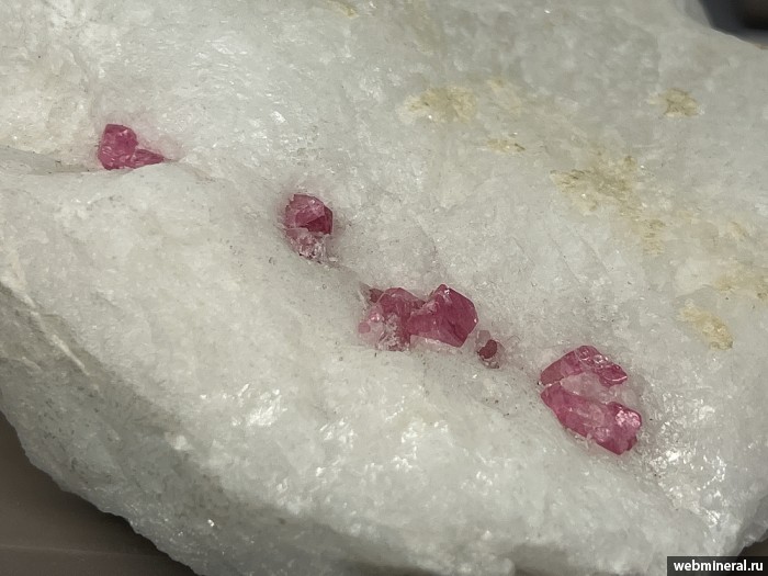 ���������� �������� �������. ������� ������.