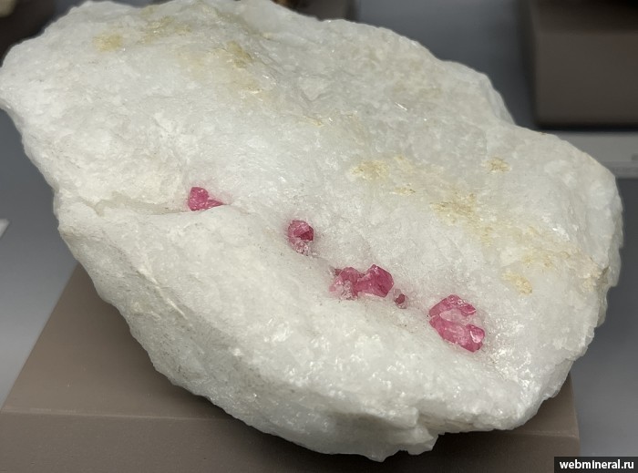 ���������� �������� �������. ������� ������.