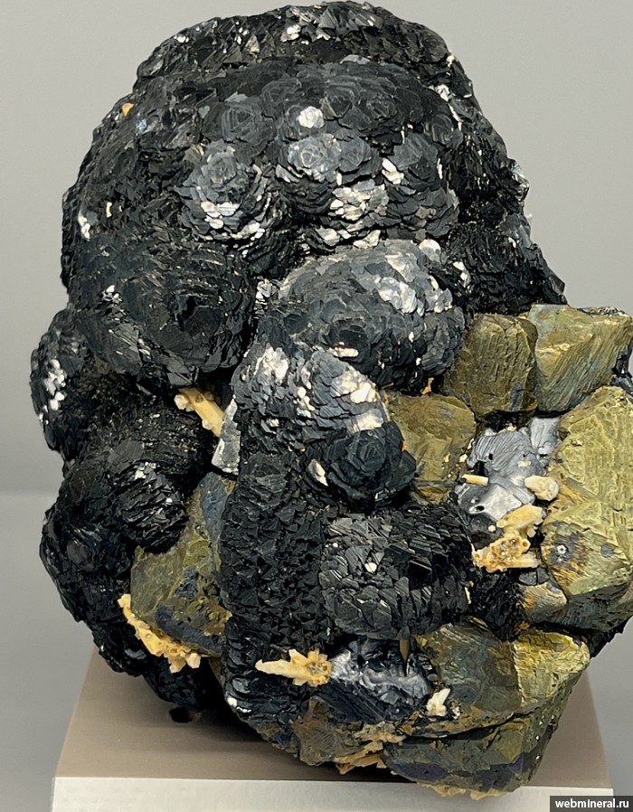 ���������� �������� ��������, �����������, �������, �����. ������������ ������.