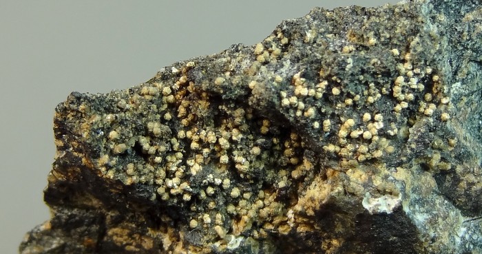Фотография минерала Кальциоилерит . Кузьменкоитовая точка.