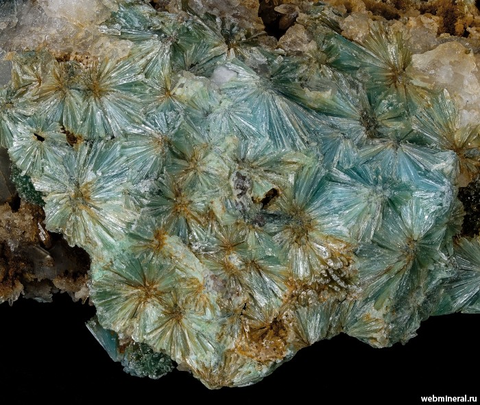 ���������� �������� ����������. �������������� ���� (���������� �������������).