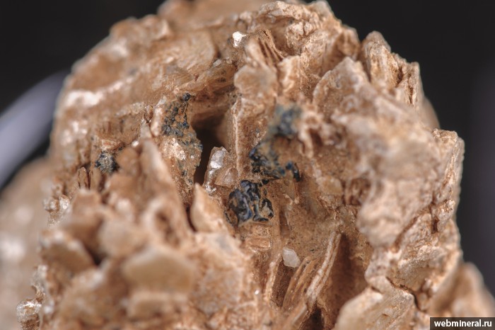 ���������� �������� ���������, �������. �����-���������� �������������.