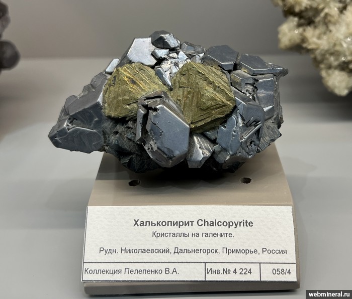 ���������� �������� �����������, �������. ������������ ������.