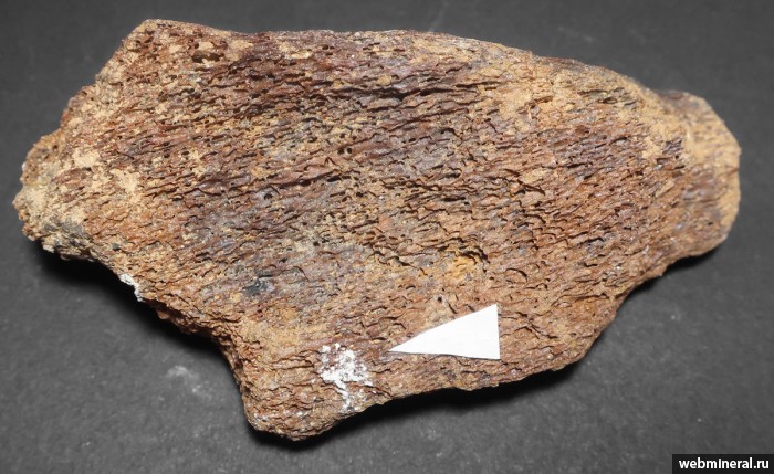 ���������� �������� ���������������. ������� ������.