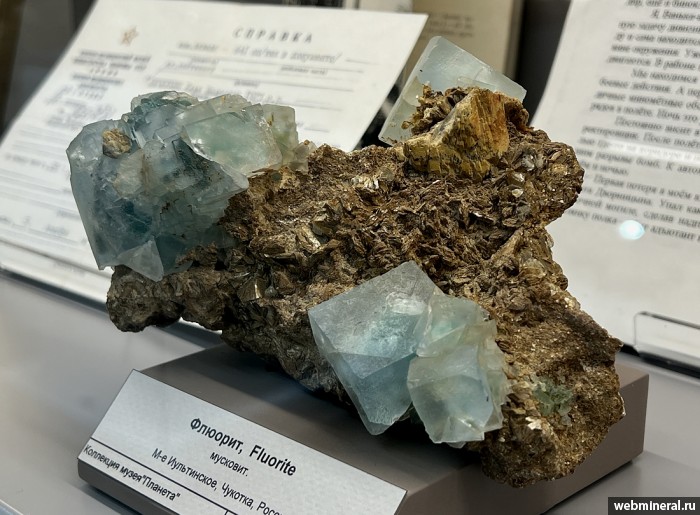 ���������� �������� �������, ��������. ����������� (W-Sn) �������������.