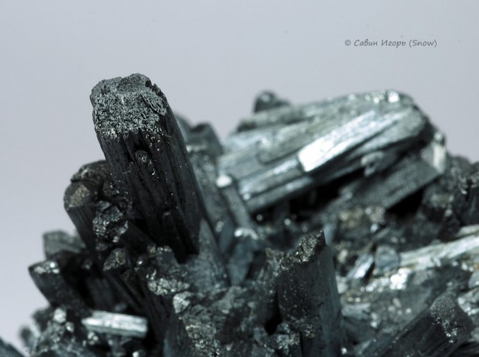   . Wuning, Jiangxi, China ().