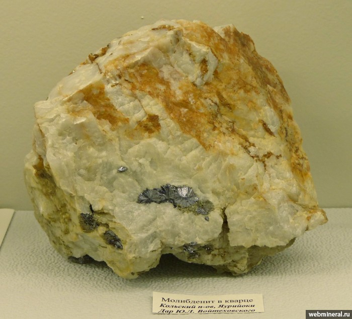 Фотография минерала Молибденит, Кварц. Яури-Йоки (U-Mo) месторождение.
