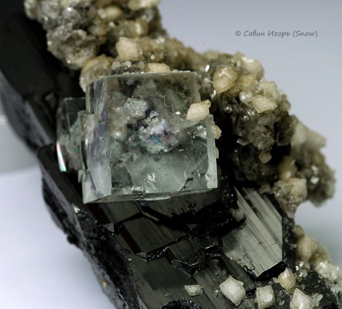 ���������� �������� �������, �������, ��������, ����������. Yaogangxian, Hunan, China (�����).