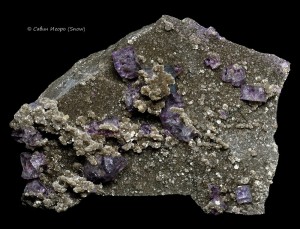 �������, ��������. . �������� � �������������. webmineral.ru