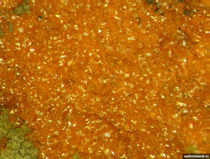 ���������� �������� �������. Vanadium Queen Mine, La Sal Mountains, San Juan Co., Utah.