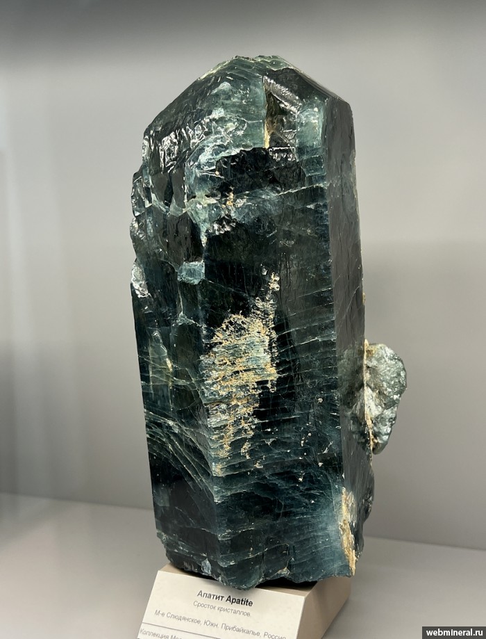 ���������� �������� ����������. ���������� ������������� ���������.