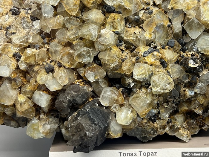 ���������� �������� �����, ����������, �����. ������� (W-Sn) �������������.