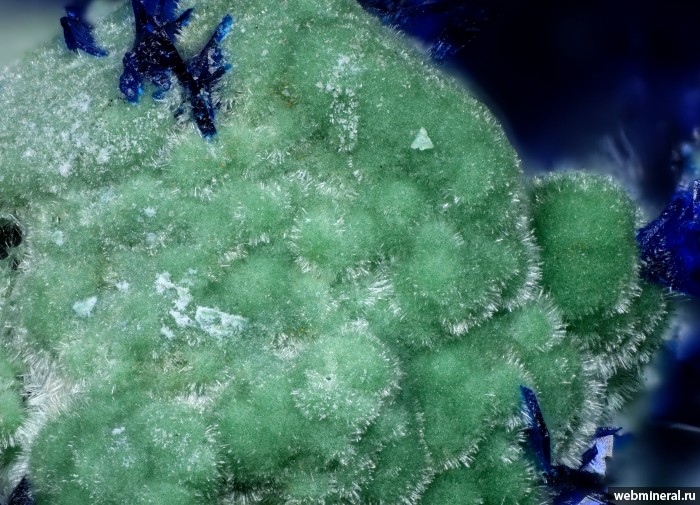 ���������� �������� ������������. ���������� (Au) �������������.