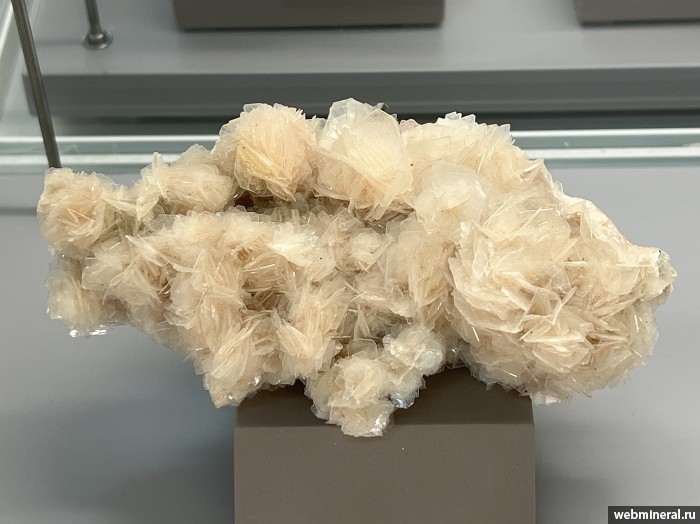 ���������� �������� �����������������-(K). ���������� ������ ���� (����� ������).