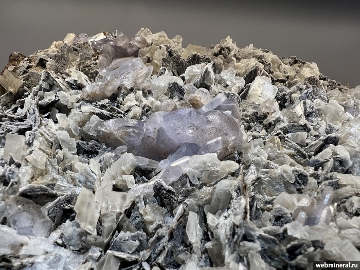 ���������� �������� ����������, �������, ������. ���� �������������.