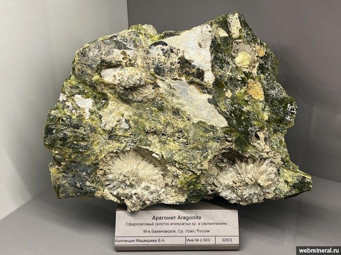 ���������� �������� ��������. ����������� �������������.