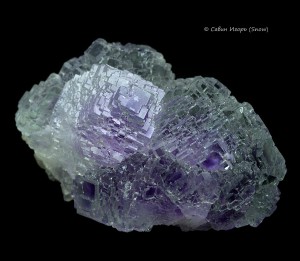 �������. . �������� � �������������. webmineral.ru