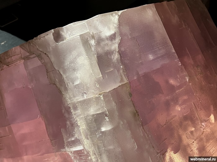 ���������� �������� �������. ���� �������������.