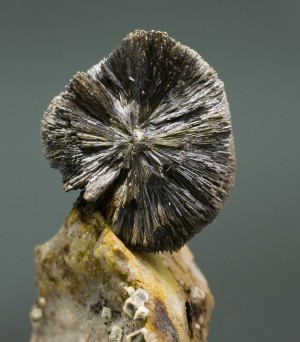 ø���. �������� � 597 (���������). �������� � �������������. webmineral.ru