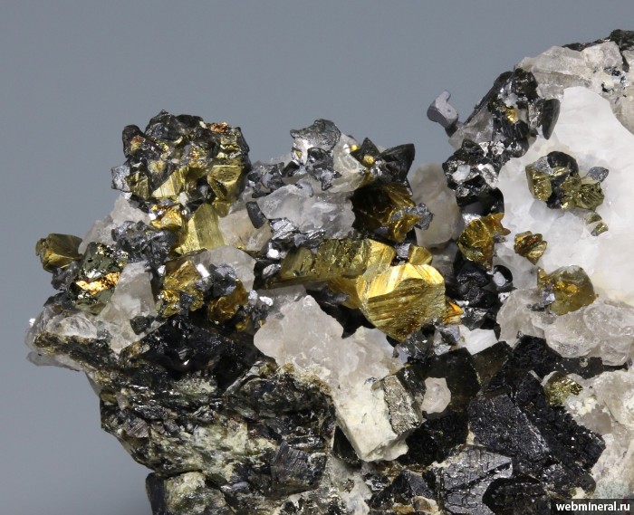 ���������� �������� ��������, �����, �����������. ������ ������ ����.